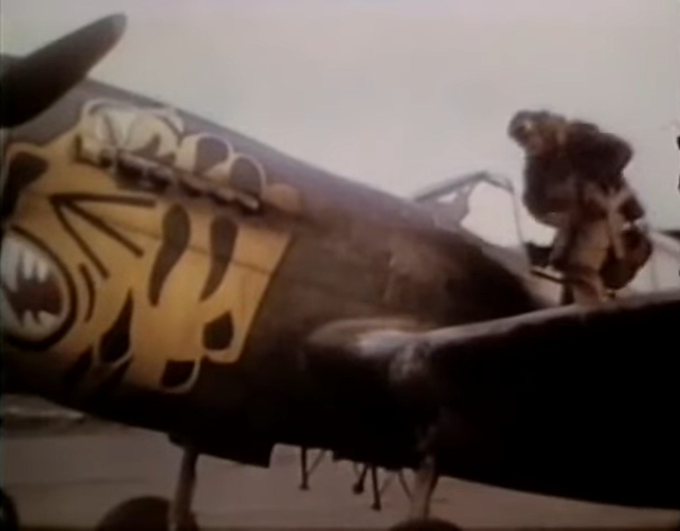 11th Fighter Squadron pilot readying for an escort mission